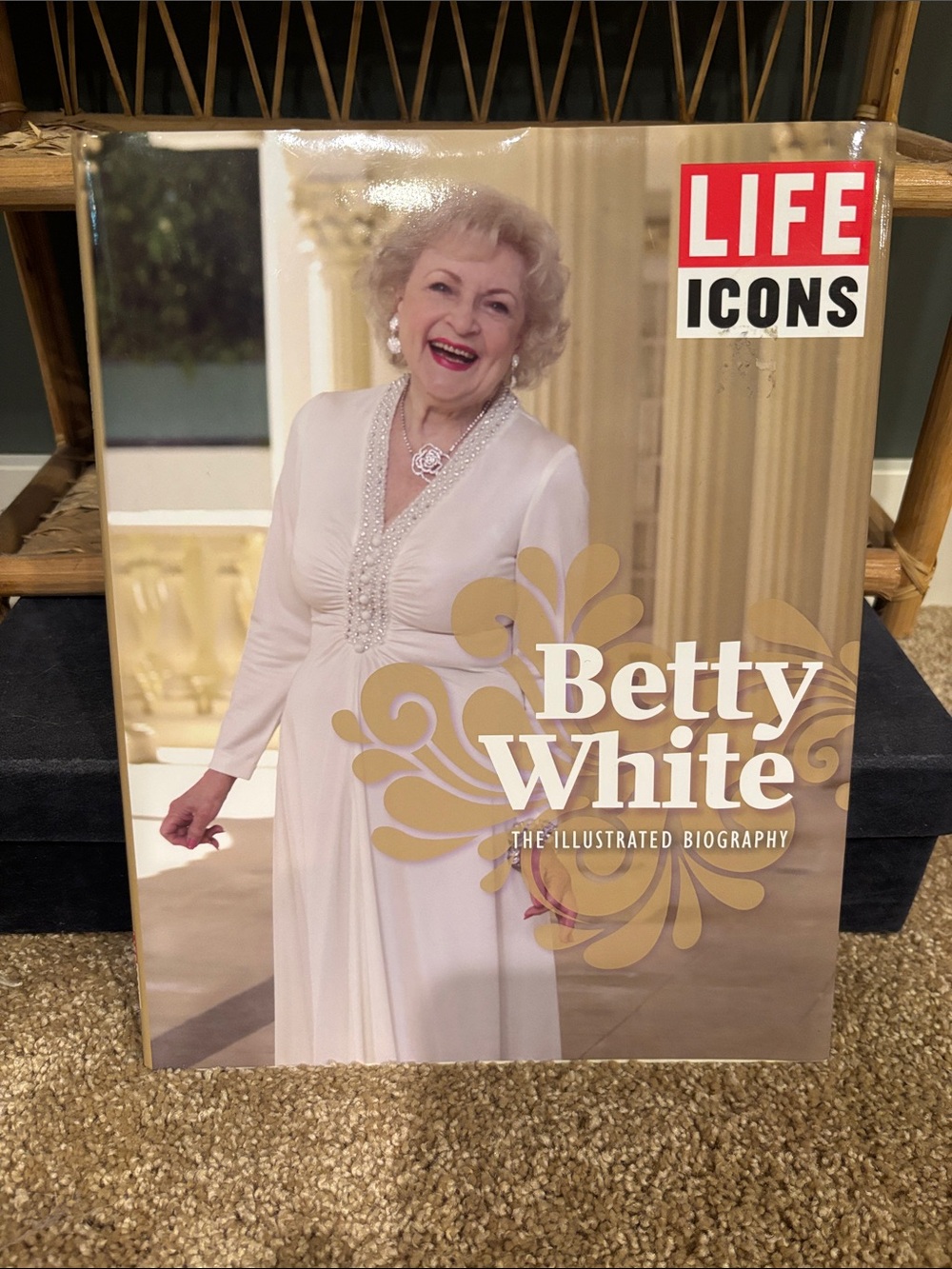 Life Icons: Betty White Illustrated Biography - White